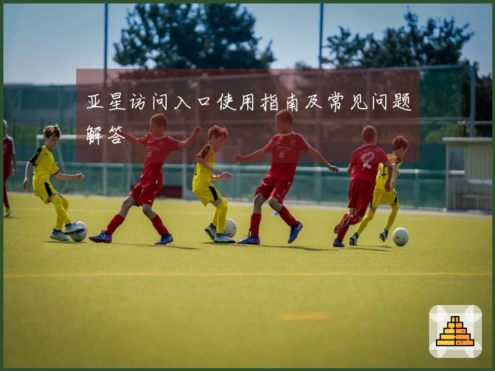 亚星访问入口使用指南及常见问题解答
